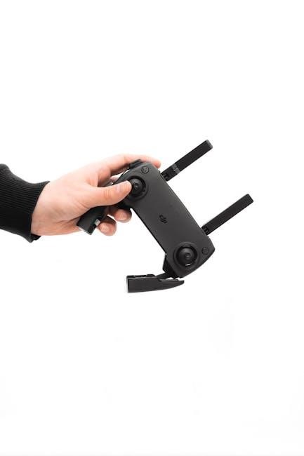 carel controller easy manual