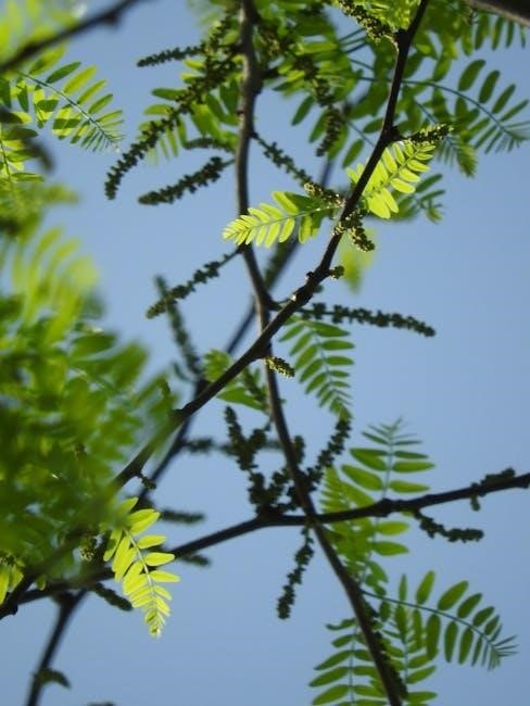 the day of the locust pdf