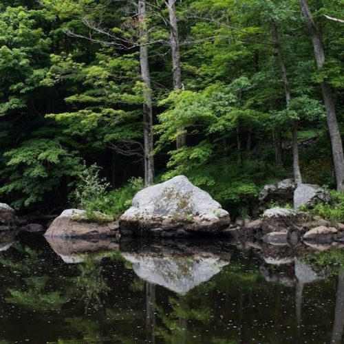 miller xmt 304 cc/cv manual