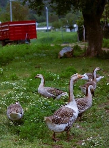 free dump trailer plans pdf