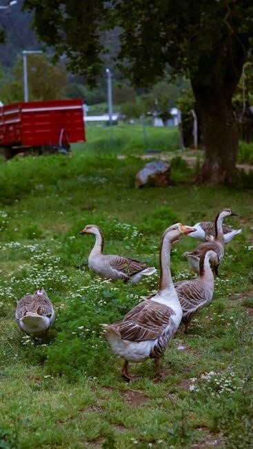 free dump trailer plans pdf