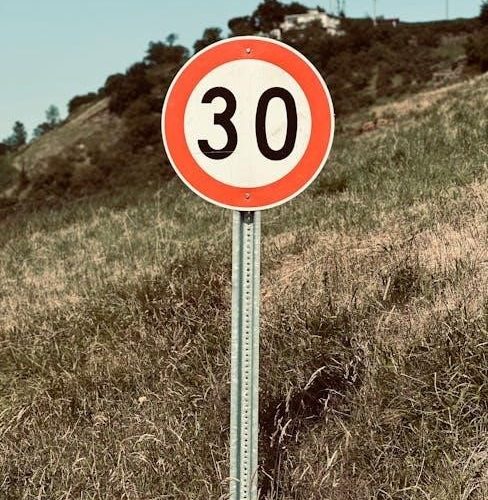 cub cadet cc 30 h manual