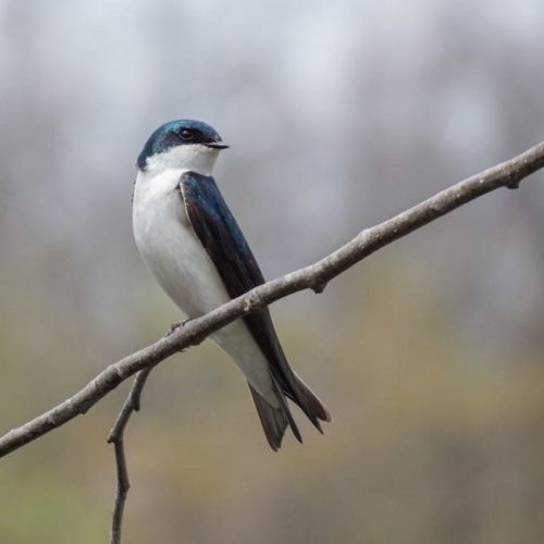 ted stocking size guide