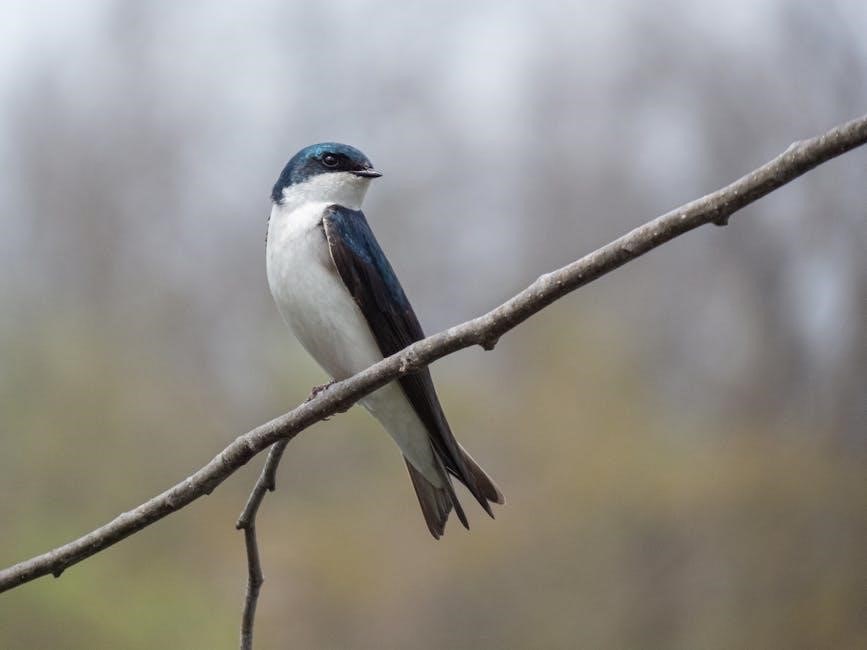 ted stocking size guide