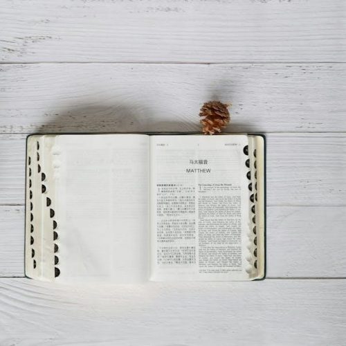 new testament study guide pdf