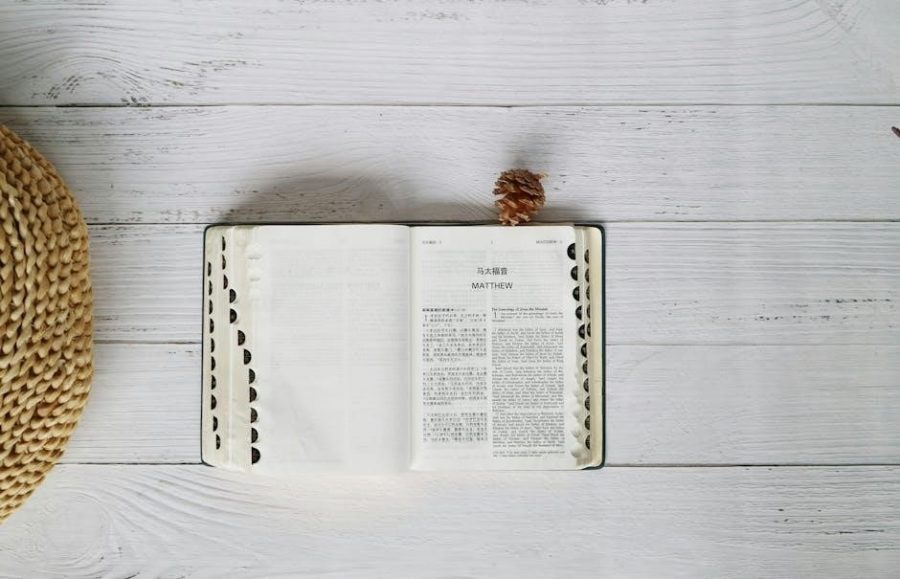 new testament study guide pdf