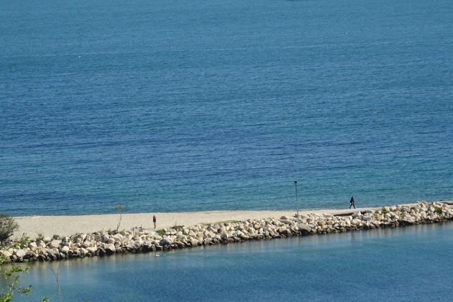 dsc impassa user manual