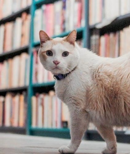 cat in the hat book pdf