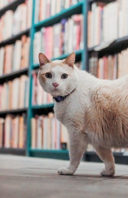 cat in the hat book pdf