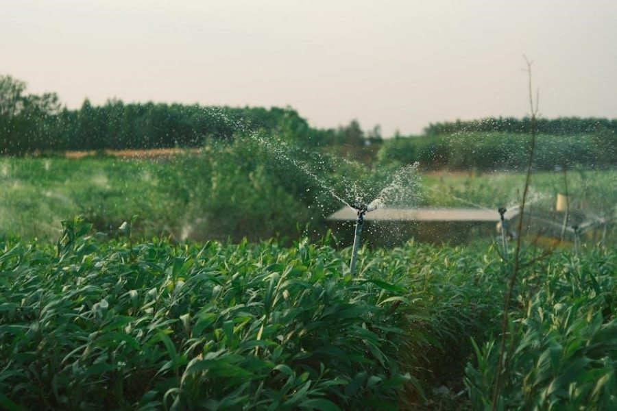 nfpa pocket guide to sprinkler system installation