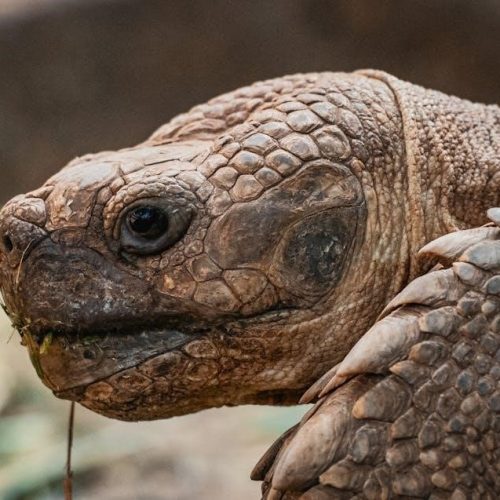 asme a17 1 pdf free download