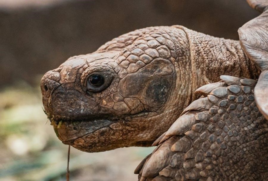 asme a17 1 pdf free download