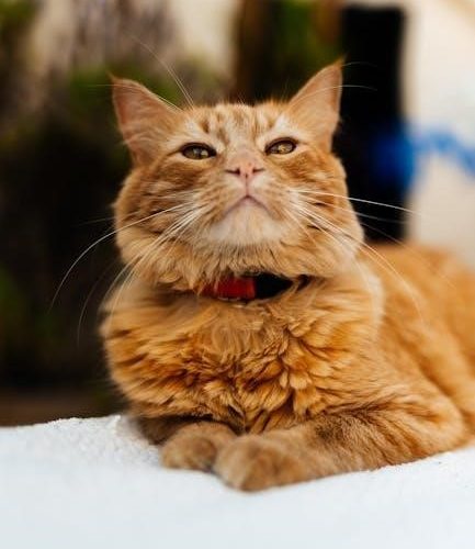 cat mate cat flap instructions