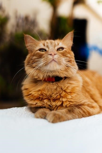 cat mate cat flap instructions