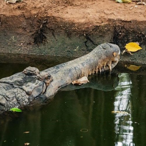 wreck and ruin pdf free download