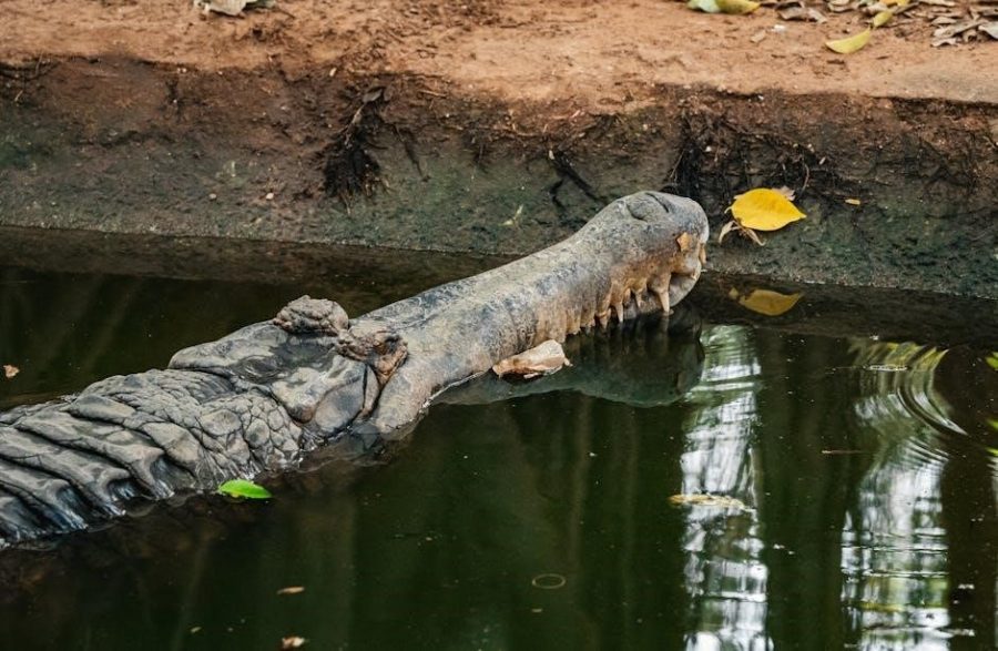 wreck and ruin pdf free download