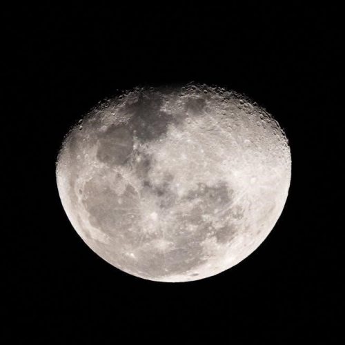 liftmaster csl24ul manual pdf free download