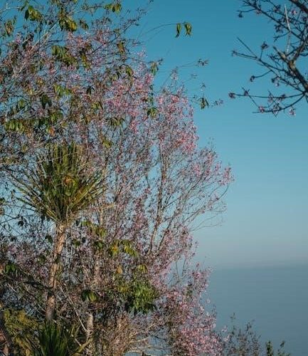 the book of forbidden knowledge pdf free download