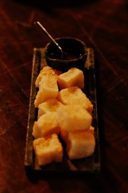 xotic sp compressor manual