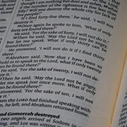 bible worksheets for adults pdf