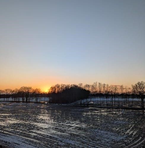 in flanders field poem pdf