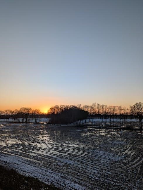 in flanders field poem pdf