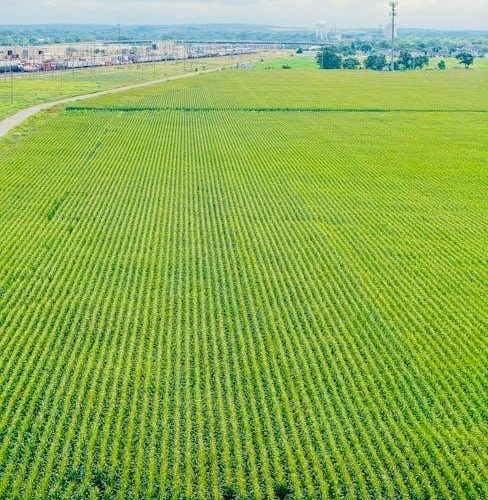 nebraska waterfowl guide