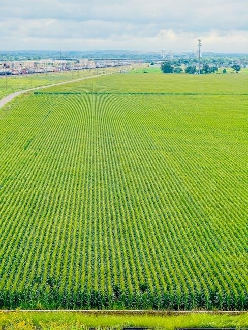 nebraska waterfowl guide