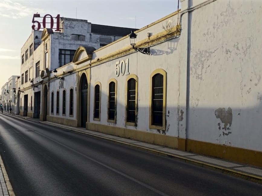 501 spanish verbs book pdf