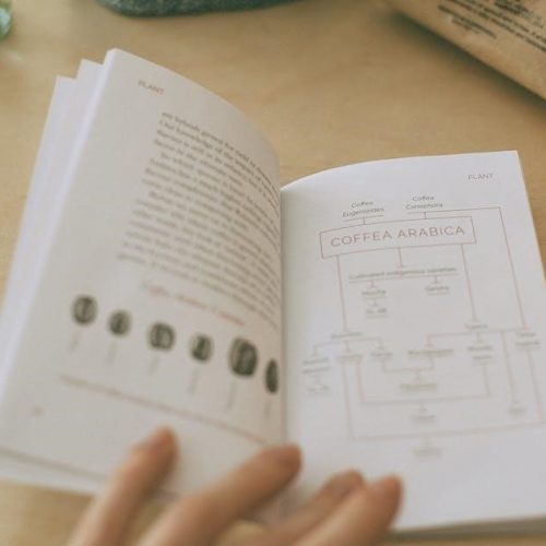 study guide for the book night by elie wiesel