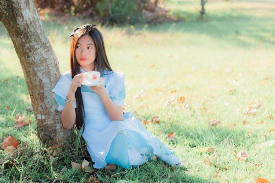 nikon d5000 owners manual