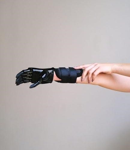 ibox dawn user manual