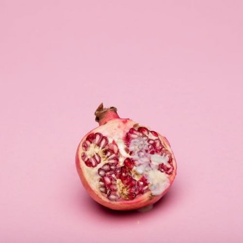 jevity 1.2 nutrition pdf