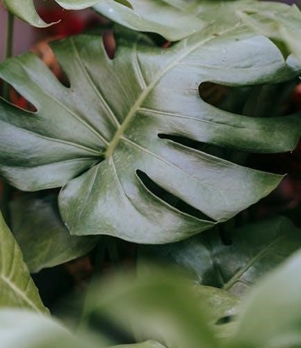 aroeve air purifier manual