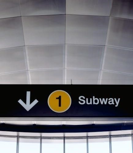 boss loop station rc-1 manual