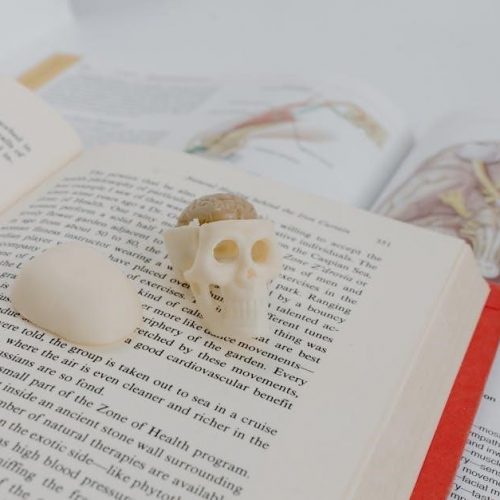 unit 3 test study guide parallel and perpendicular lines