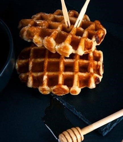 toastmaster waffle maker instructions