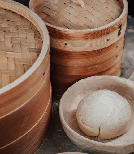 conair steamer instruction manual