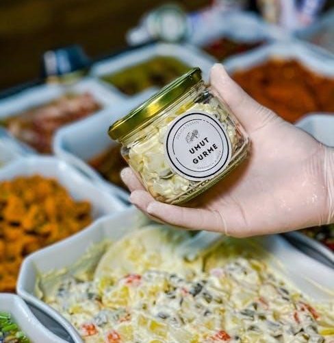 carnivore diet recipes pdf