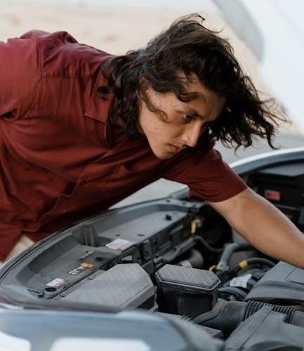 rheem tankless water heater troubleshooting manual