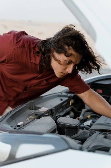 rheem tankless water heater troubleshooting manual